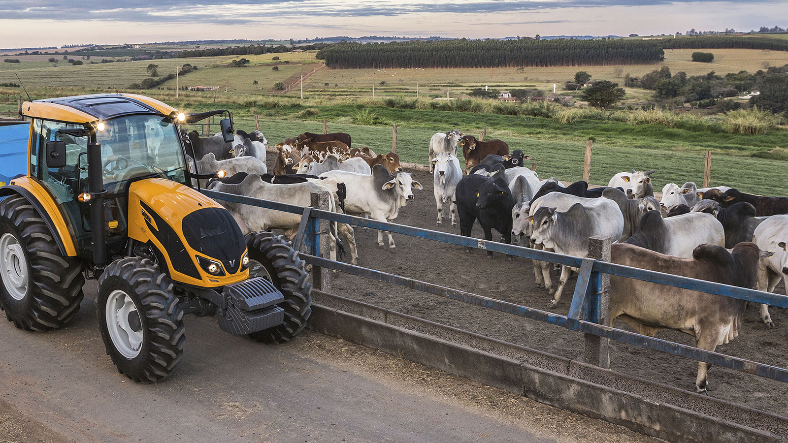Valtra